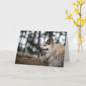 おいハンサム！カード カード (黄色い花)