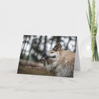 おいハンサム！カード カード