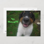 おいワザップ?!!! ポストカード (正面/裏面)