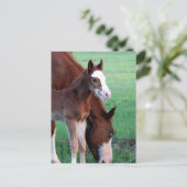 おい俺を見ろ！ ポストカード (スタンド正面)