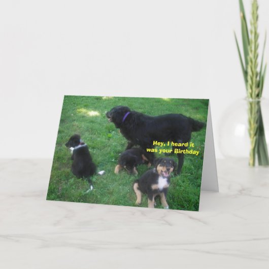 おい君の誕生日だ カード (正面)