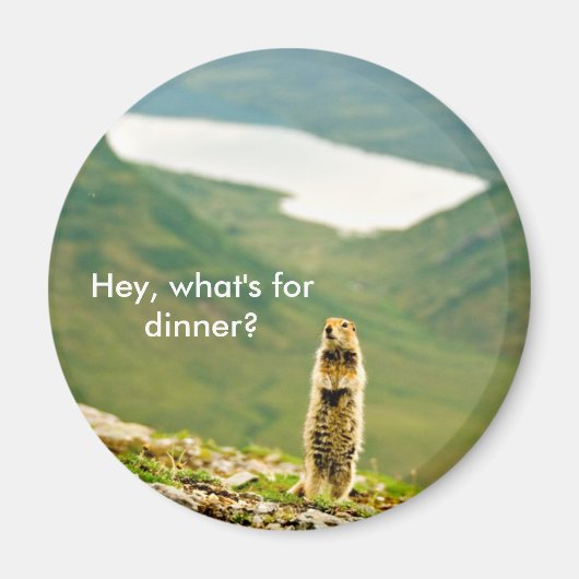 おい夕食は何だ？ マグネット (正面)