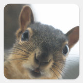 おい、あそこに スクエアシール (正面)