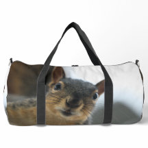 おい、あそこに