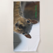 おい、あそこに ビーチタオル (正面)