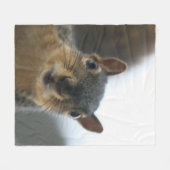 おい、あそこに フリースブランケット (正面(横))