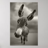 おい、そこだ ポスター (正面)