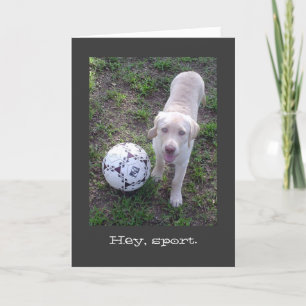 おい、スポーツ。イエロー・ラブラドール・レトリーバー子犬の父の日 カード