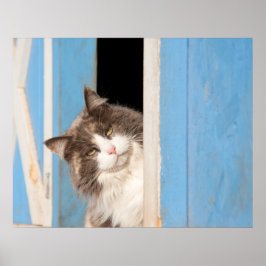 おい! ポスター