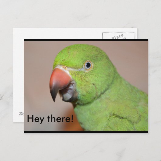 おい！ ポストカード (正面/裏面)