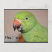 おい！ ポストカード (正面)