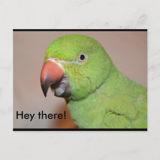 おい！ ポストカード (正面)