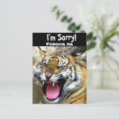 おい_ ポストカード (スタンド正面)