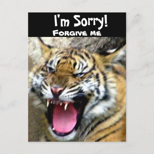 おい_ ポストカード (正面)