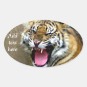 おい_ 楕円形シール (正面)