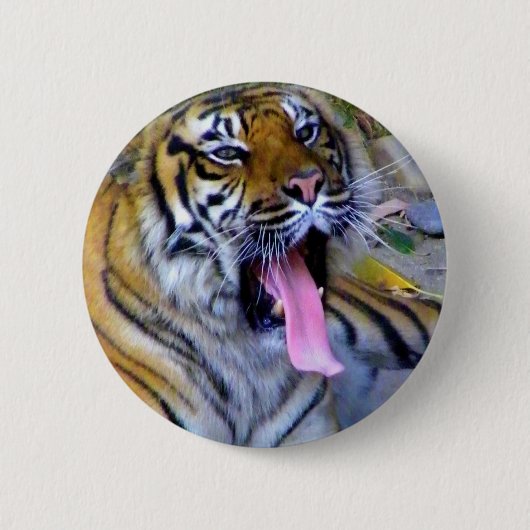 おい_ 缶バッジ (正面)