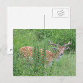 おい – 誰がそんなこと言った？ ポストカード (正面/裏面)