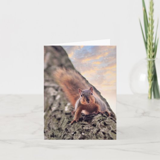 おい、What's Upノートカード カード (正面)