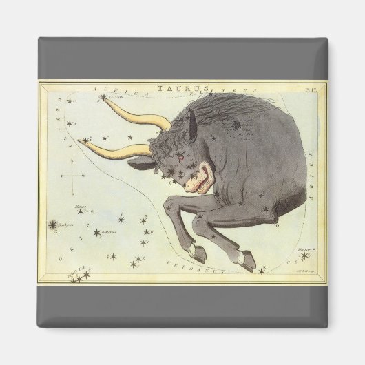 おうし座のブルー、ヴィンテージ星座天文鏡 マグネット (正面)