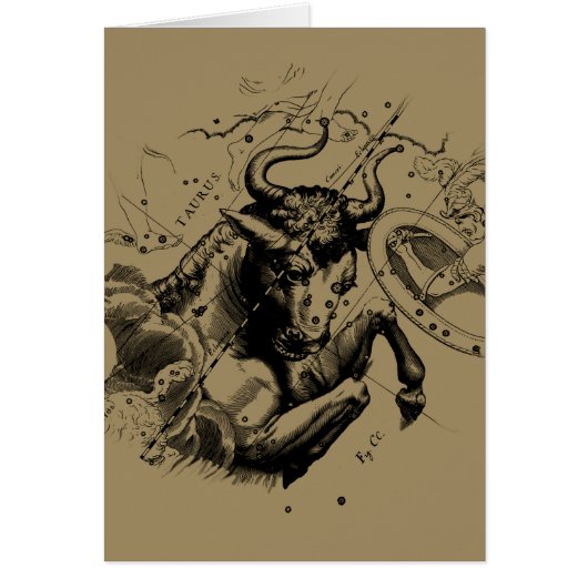 おうし座〔占星術の〕十二宮図星座の地図ヘビリウス1690 (正面)