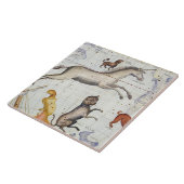 おおいぬ座およびMiのMonocerosの星座 タイル (側面)