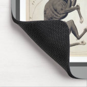 おおいぬ座、Lepus、コルンバNoachiおよびCela マウスパッド (コーナー)