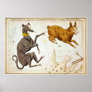 おおいぬ座、Lepus、コルンバNoachi及びCelaの彫刻家 ポスター