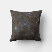 おおかみ座の星の海 クッション (裏面)