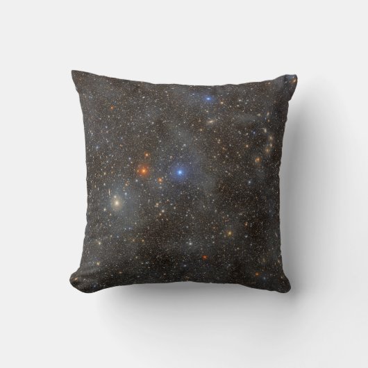 おおかみ座の星の海 クッション (正面)