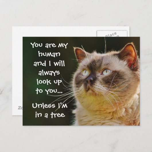 おおもしろい気に入りの猫引用文 ポストカード (正面/裏面)
