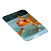 おおもしろい風呂の魚 マグネット (右側)