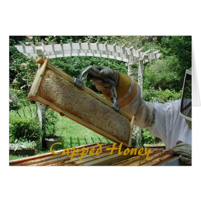 おおわれた蜂蜜 (正面横)