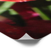 おおー！ドラゴン ポスター (角)