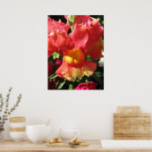 おおー！ドラゴン ポスター (キッチン)