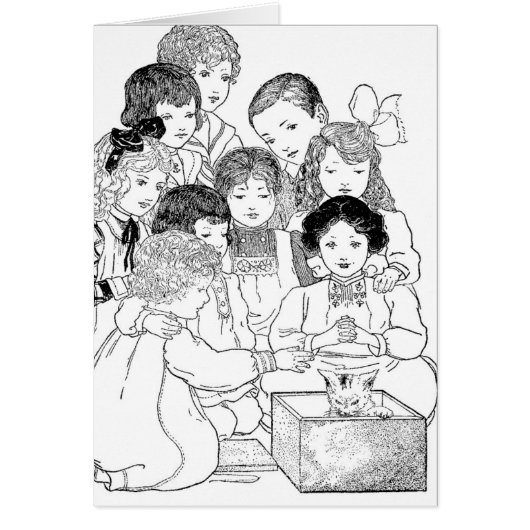 おお子猫ちゃん (正面)