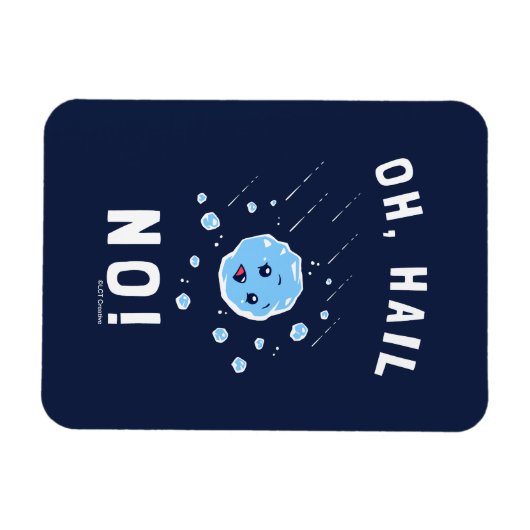 おお雹 マグネット (横)