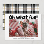 おお、なんて楽しい ボールド タイプのチェック柄 クリスマス カードだ！ (正面/裏面)