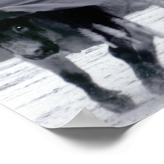 おお！ ポスター (角)