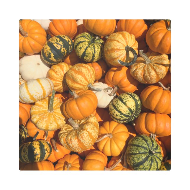 おお メタルプリント (正面)