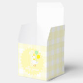 おかしいガチョウのギンガム1歳の誕生日 フェイバーボックス (オープン)