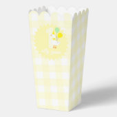 おかしいガチョウのギンガム1歳の誕生日 フェイバーボックス (正面)