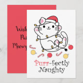 おかしいクリスマスサンタ猫 完全にいたずら シーズンカード (正面/裏面)
