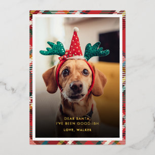 おかしいチェック柄の犬ペット写真クリスマス 箔シーズンカード