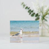 おかしいハヤブサ ポストカード (スタンド正面)