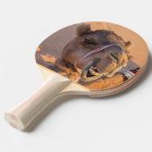 おかしいラクダ 卓球ラケット (正面アングル)