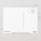 おかしな日はがき ポストカード (裏面)