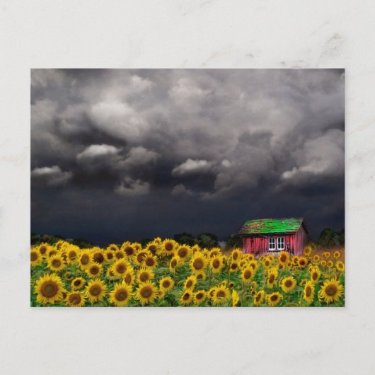 おかしな日はがき ポストカード (正面)