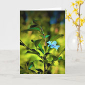 おかめさくらんぼツリーブロッサム、カード カード (黄色い花)