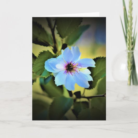 おかめさくらんぼツリー、カード カード (正面)