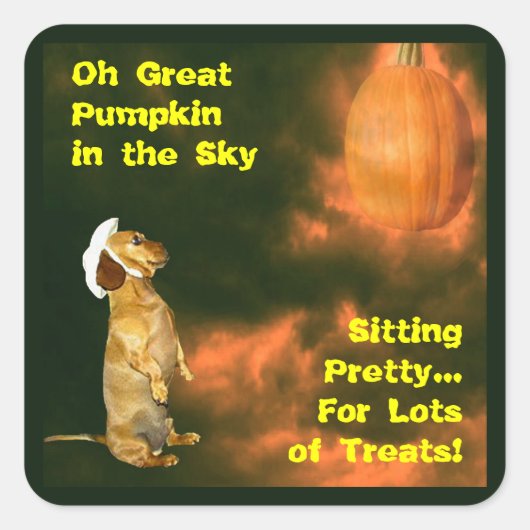 おかわいらし菓子をたくさん食べに座る スクエアシール (正面)